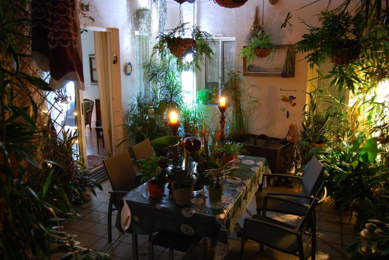 Casa Tesalia Villa Güimar Eksteriør billede